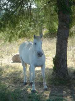 DSC00011.JPG